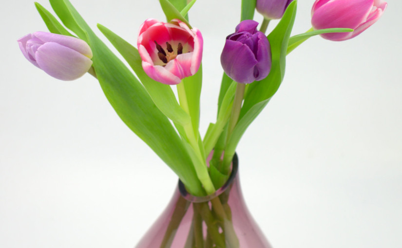 Six Tulips in Vase